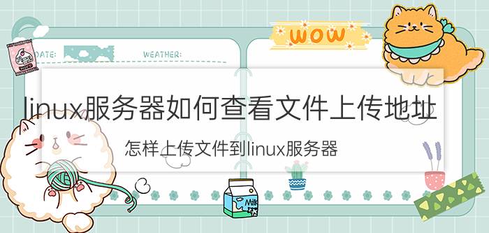 linux服务器如何查看文件上传地址 怎样上传文件到linux服务器？